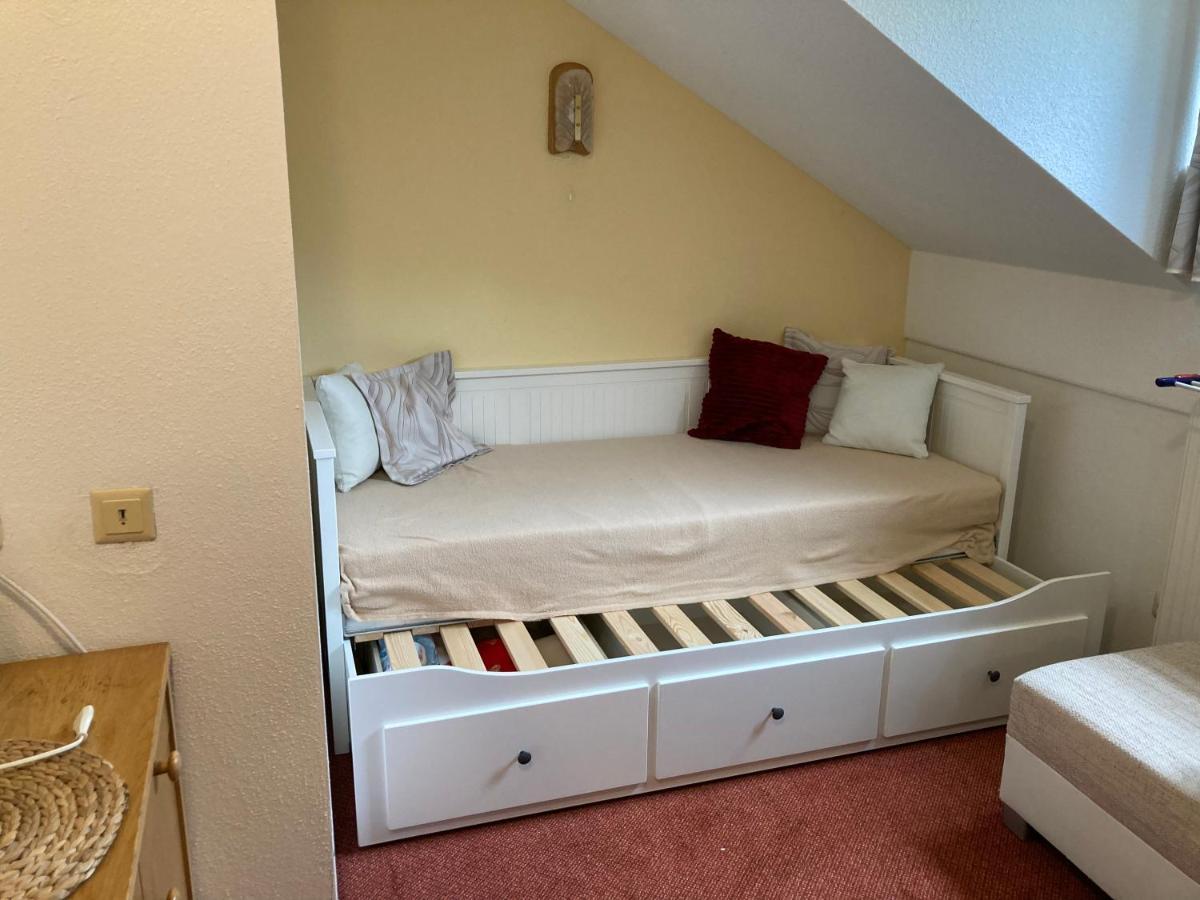 Apartman Viki Daire Philippsreut Dış mekan fotoğraf