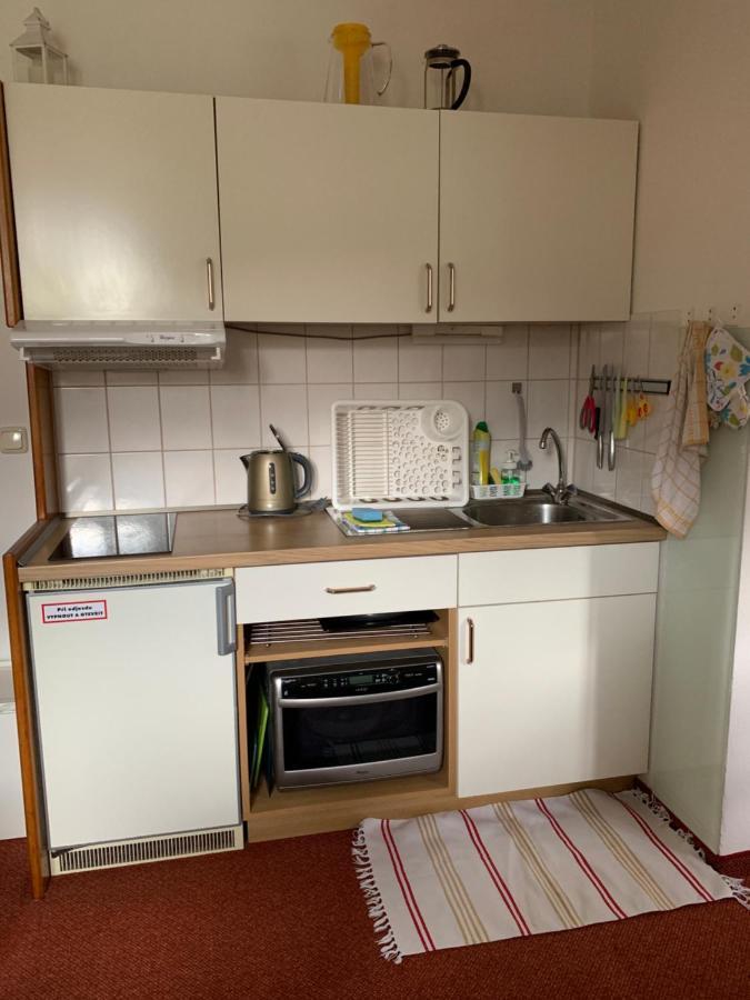 Apartman Viki Daire Philippsreut Dış mekan fotoğraf
