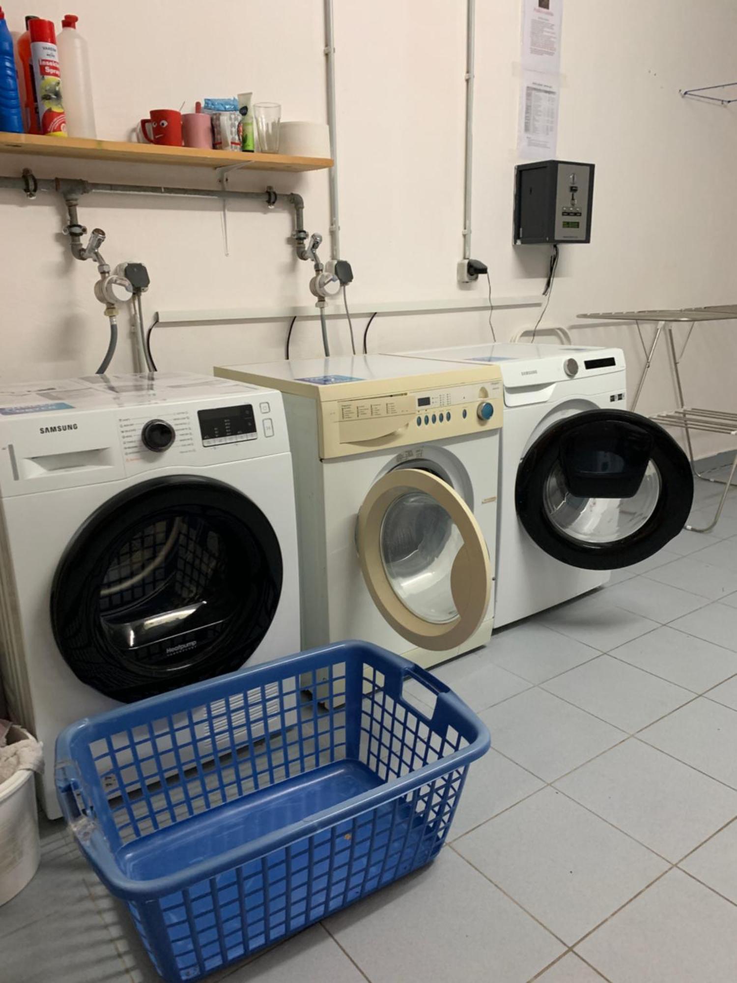 Apartman Viki Daire Philippsreut Dış mekan fotoğraf